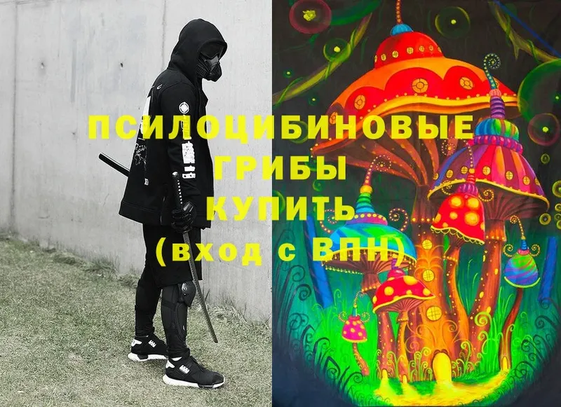 Галлюциногенные грибы Magic Shrooms  гидра ТОР  Комсомольск-на-Амуре  купить наркоту 